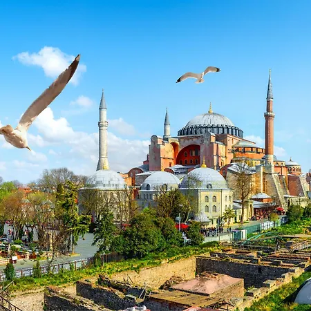 Elmira Pera & - Special Class