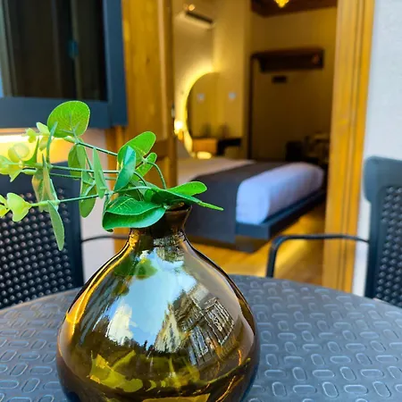 Elmira Pera & - Special Class 3*