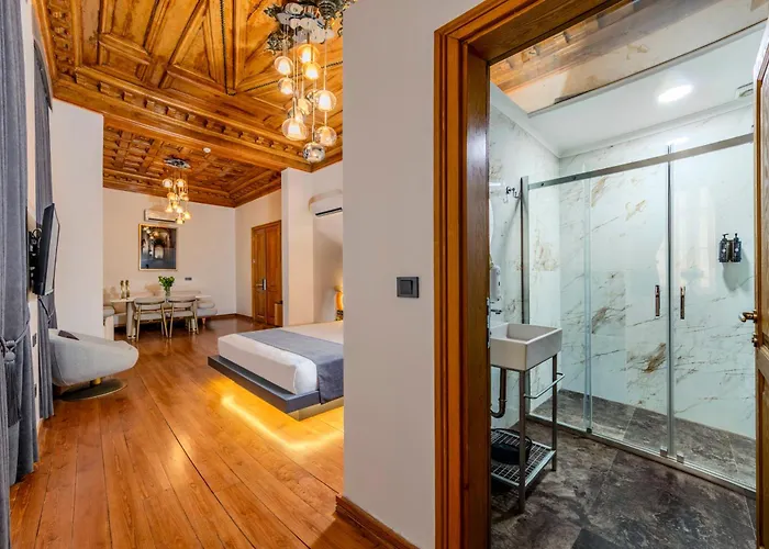 Elmira Pera & - Special Class Hotel