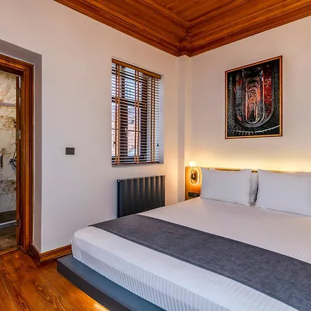 Hotel Elmira Pera & - Special Class 3*